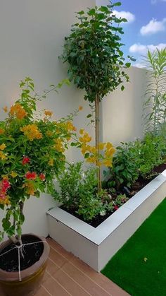 تصميم حدائق بالباحة