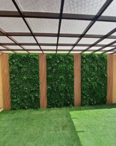 عشب جداري بالطائف