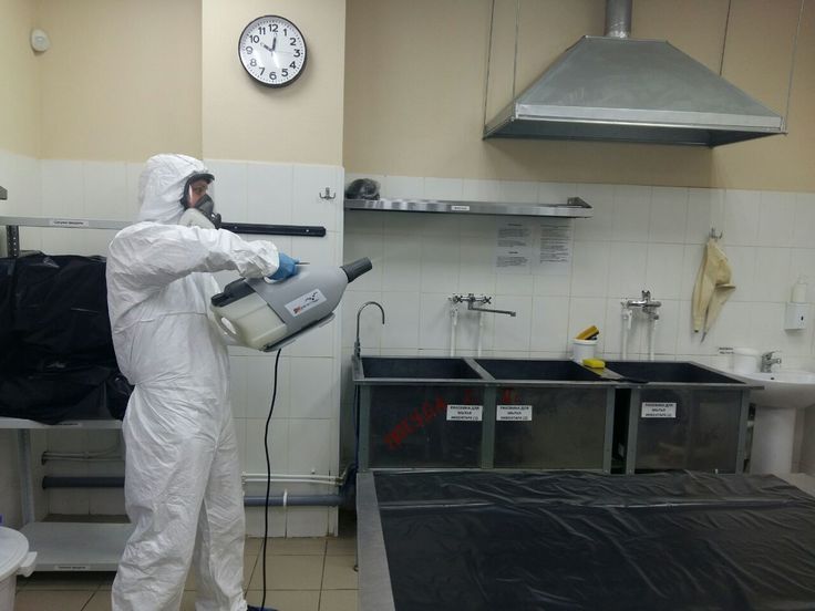 رش مطاعم حشرات