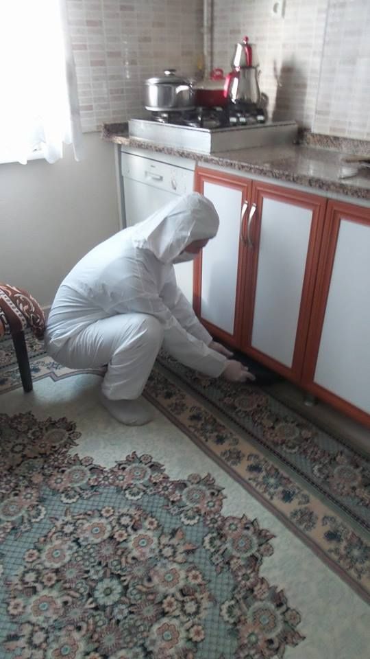 رش مطابخ صراصير بالطائف