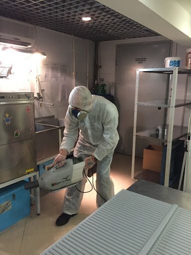 حشرات الطائف