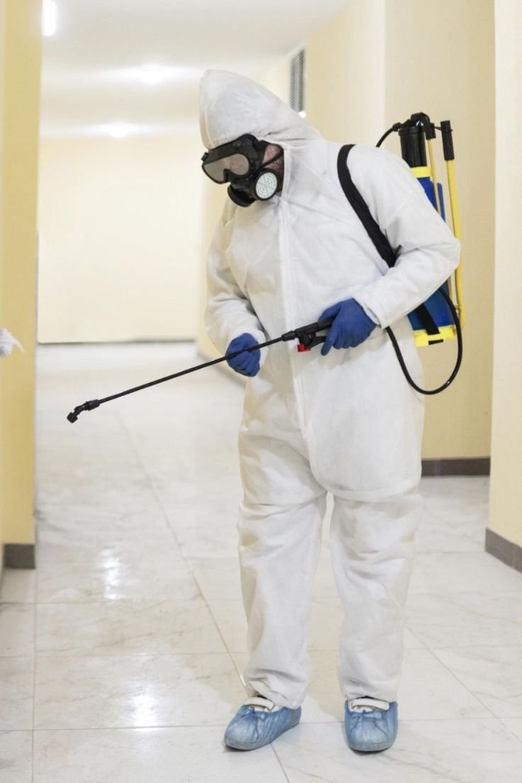 رش حشرات الطائف