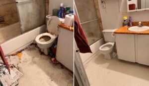 شركة تنظيف بالطائف