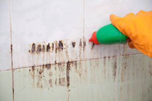 شركة تنظيف عماير بالطائف