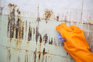 تنظيف منازل بالطائف