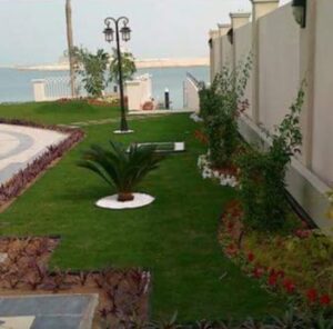 تركيب عشب طبيعي بالطائف